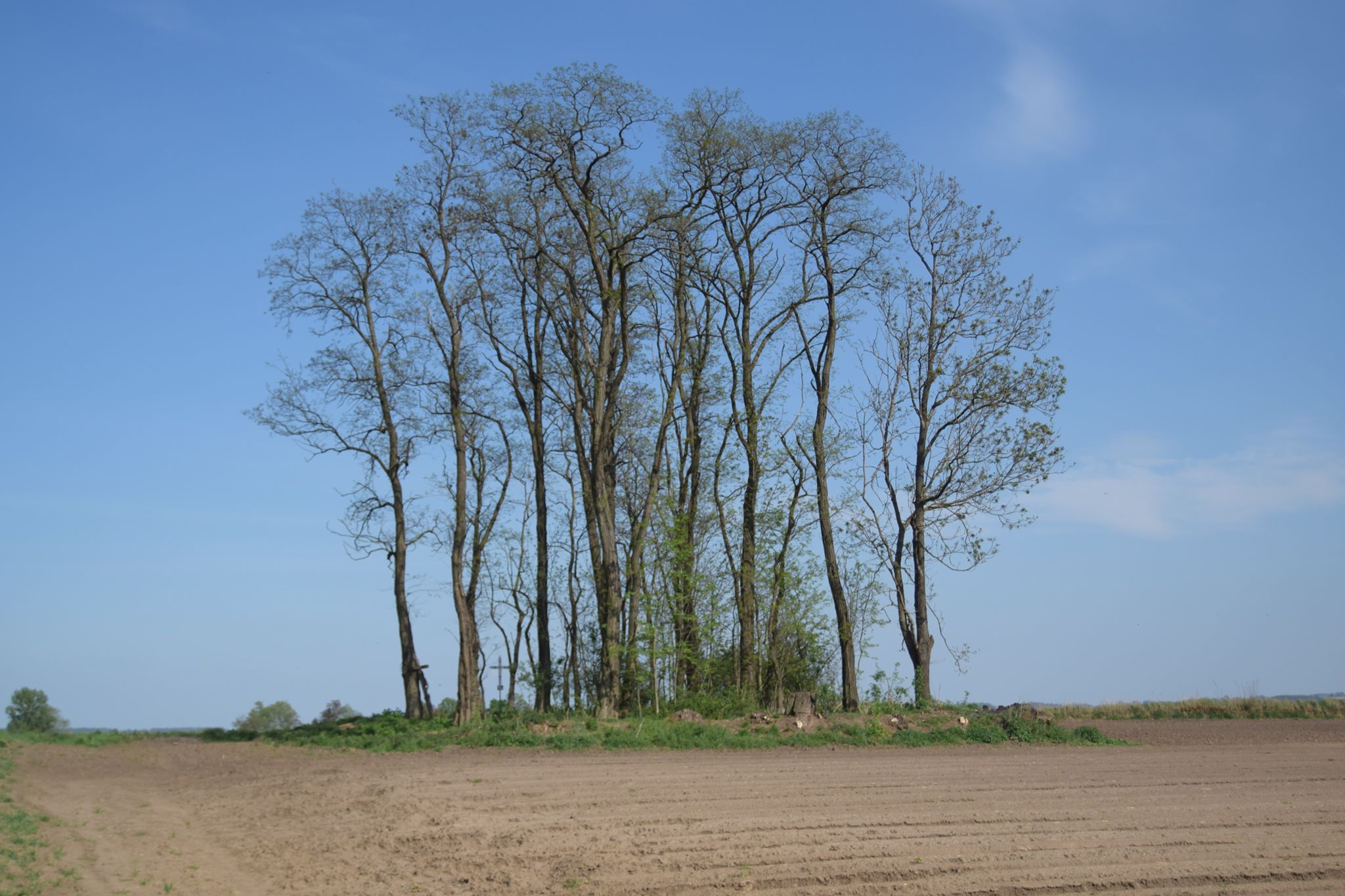 Zapomniany cmentarz na pograniczu pograniczu Przezwód, Stogniowic oraz Górki Stogniowskiej